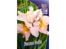 82,9���. ���� ��������� ����� ����(�������� ���� �� 2 ��., ����������� ����� 1��.).jpg