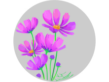 ������ ��������� ��������.jpg