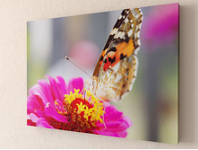 ������� ������ 1-1.jpg