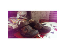 ������� ������� �.24 �/�