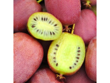 ��������� ������ �����-274�.jpg