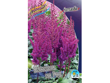 78,15���. �������� ������� �� ���(�������� ���� �� 2 ��., ����������� ����� 1��.).jpg