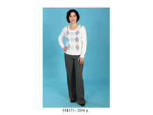 918173 2050���.jpg