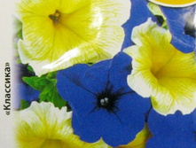 �.������� F1 ���� � ������ (15��) - 9,6 ���..jpg