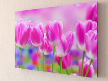 ������� �������� 1-1.jpg