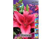 32,36���. ����� ������(��� 5 ��. ���������� �� 2��.).jpg