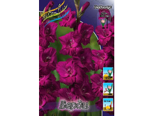 9,37���. ��������� �����(���������� ������ ������ ���������� �� 7 ��.).jpg