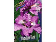 82,9���. ���� ��������� ����� ���(�������� ���� �� 2 ��., ����������� ����� 1��.).jpg