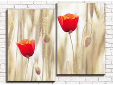 ��� �������� 2-1.jpg