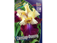 86,05���. ���� ���������� ������ ������(�������� ���� �� 2 ��., ����������� ����� 1��.).jpg