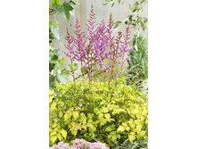 101,85���. �������� ����� ���� ����(�������� ���� �� 2 ��., ����������� ����� 1��.).jpg