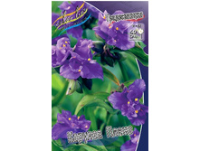 113,7���. ������������ ������� �����(�������� ���� �� 1 ��., ����������� ����� 1��.).jpg