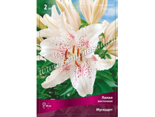 ����� ��������.jpg