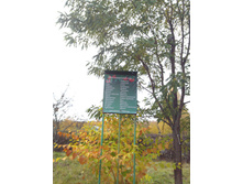 IMG 20161016 122618.jpg