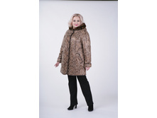 ������ ��������� ����.JPG