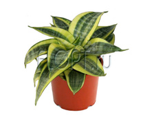 ����������� ������ ���� 10�20. 248,55 ���.jpg