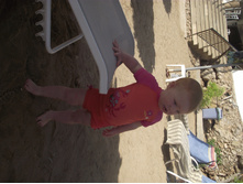 DSCF8202.JPG