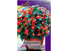 47,75���. ������� ������� �������(��� 4 ��. ���������� �� 2��.).jpg