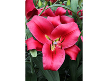 35,4���. ����� ���������(��� 5 ��. ���������� �� 2��.).jpg