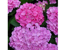 197���. ��������� �������������� ������ (�������� ����).jpg