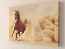 ������ 1-1.jpg