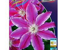 221���. �������� ���. ������.jpg