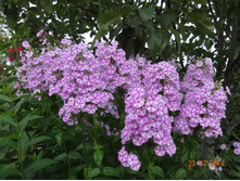 DSC00874.JPG