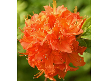 135���. ������ �������� �������� �����.jpg