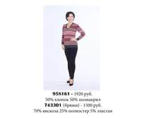 743301 1500���.jpg