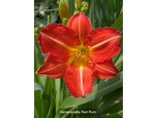 68,7���. �������� ��� ���(�������� ���� �� 2 ��., ����������� ����� 1��.)���16.jpg