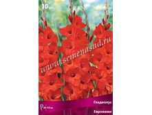 ��������� ��������.jpg