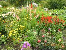 DSCN2129.JPG