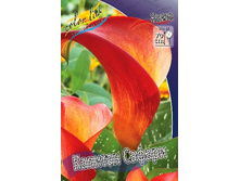 66,8���. ����� ������� ������(�������� ���� �� 2 ��., ����������� ����� 1��.).jpg