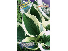 78,15���. ����� �������(�������� ���� �� 2 ��., ����������� ����� 1��.).jpg