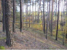 DSCN3209.JPG