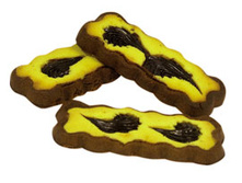 ����� �������