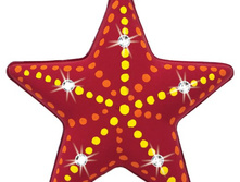 57bcd3c2f1e9d nabor zvezdochka so strazami110.jpg