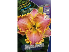 187,9���. �������� ����� �����(�������� ���� �� 1 ��., ����������� ����� 1��.).jpg