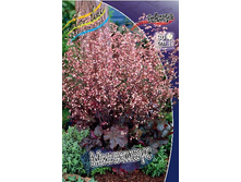 164,2���. ������� ��������(�������� ���� �� 1 ��., ����������� ����� 1��.).jpg