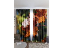 �������� ����.jpg