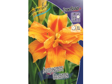 180���. �������� ������� �����(�������� ���� �� 1 ��., ����������� ����� 1��.).jpg