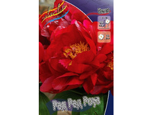 488���. ���� ��� ��� ����(�������� ���� �� 1 ��., ����������� ����� 1��.).jpg