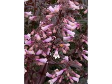 124,7���. ��������� ���� ������(�������� ���� �� 1 ��., ����������� ����� 1��.).jpg