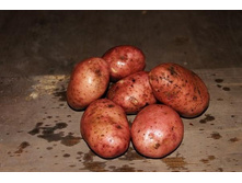 ��������� (�����) 41���. �� 1��.jpg