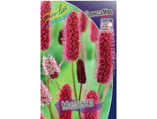 101,85���. ���������� �������(�������� ���� �� 2 ��., ����������� ����� 1��.).jpg