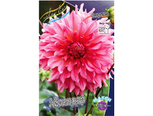 83,5���. �������� ��������(�������� ���� �� 1 ��., ����������� ����� 1��.).jpg