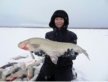 ������ ������ 1-3 ��