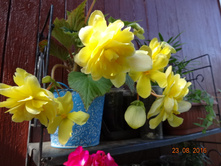 DSC03024.JPG