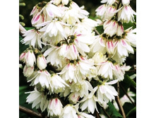 ������ ����� �� ��������-127�.jpg