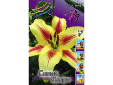 32,36���. ����� ����� �����(��� 5 ��. ���������� �� 2��.).jpg